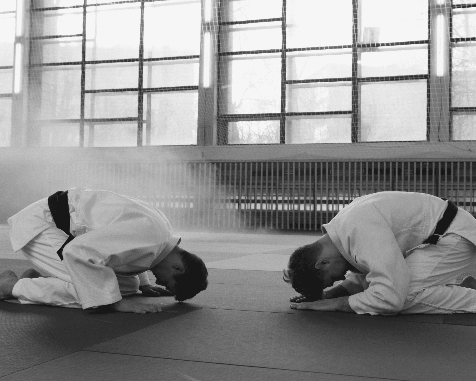 deux hommes pratiquant les arts martiaux, sont au sol sur les genoux et penchés en avant pour se saluer