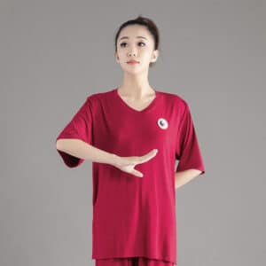 T-shirt estival de kung fu avec col en v pour femme sur fond gris